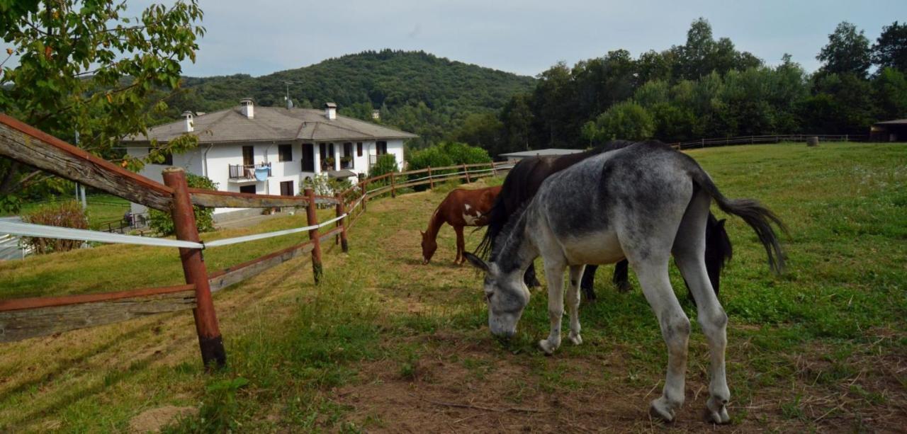 Favetto Family Ranch Bed & Breakfast Rueglio Luaran gambar