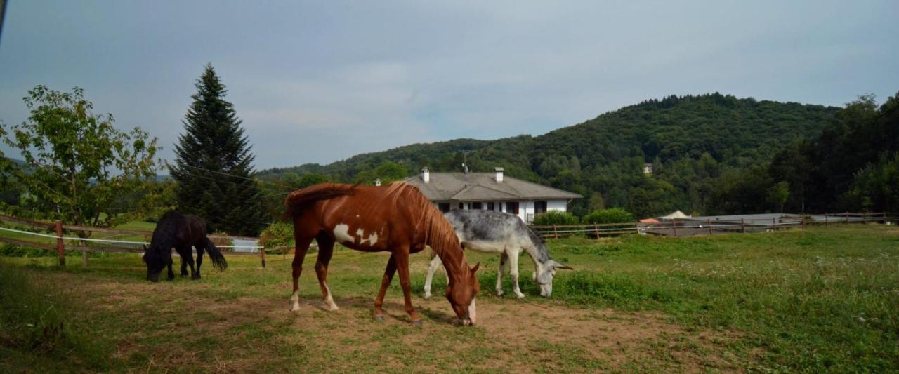 Favetto Family Ranch Bed & Breakfast Rueglio Luaran gambar